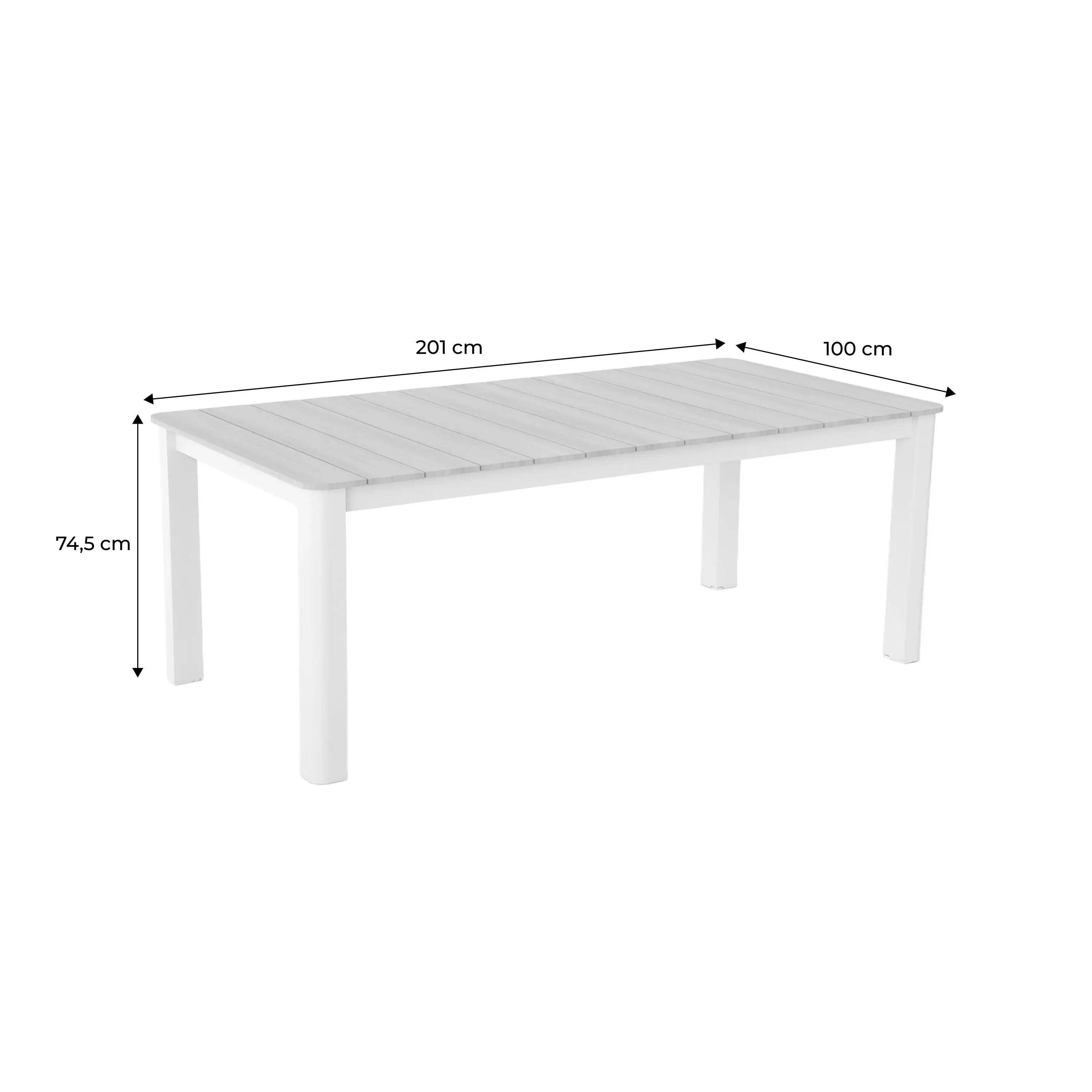 Table de jardin aluminium 8 places