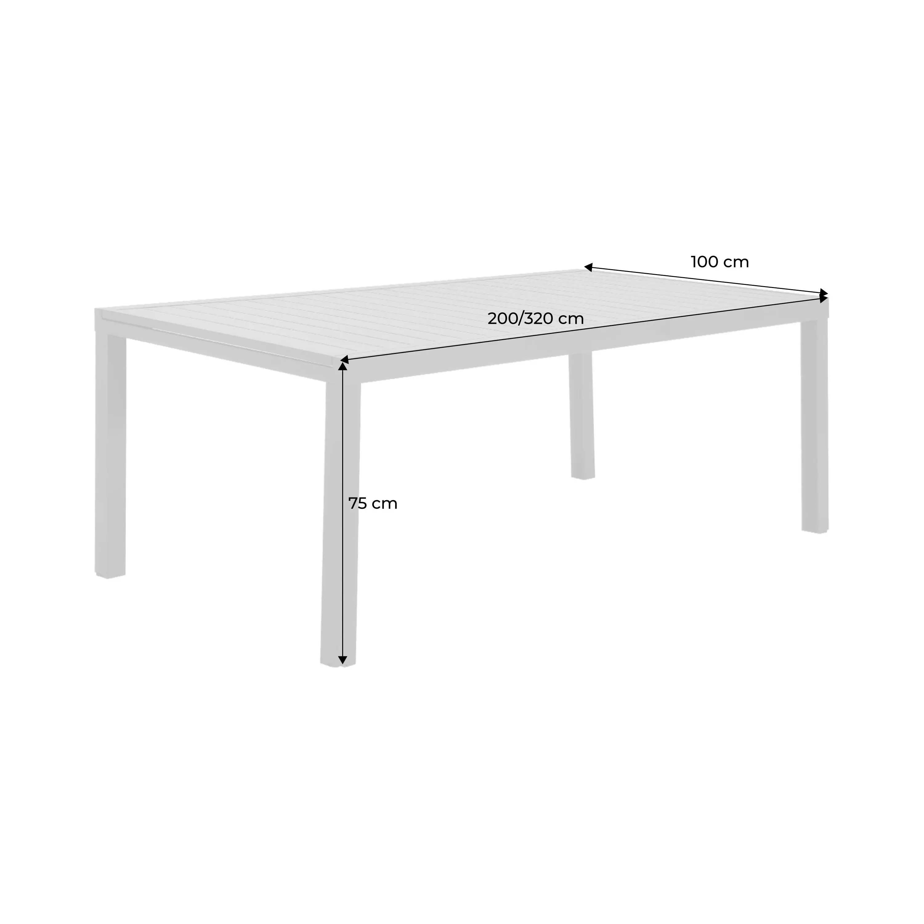 Table de jardin extensible aluminium 10-12 places