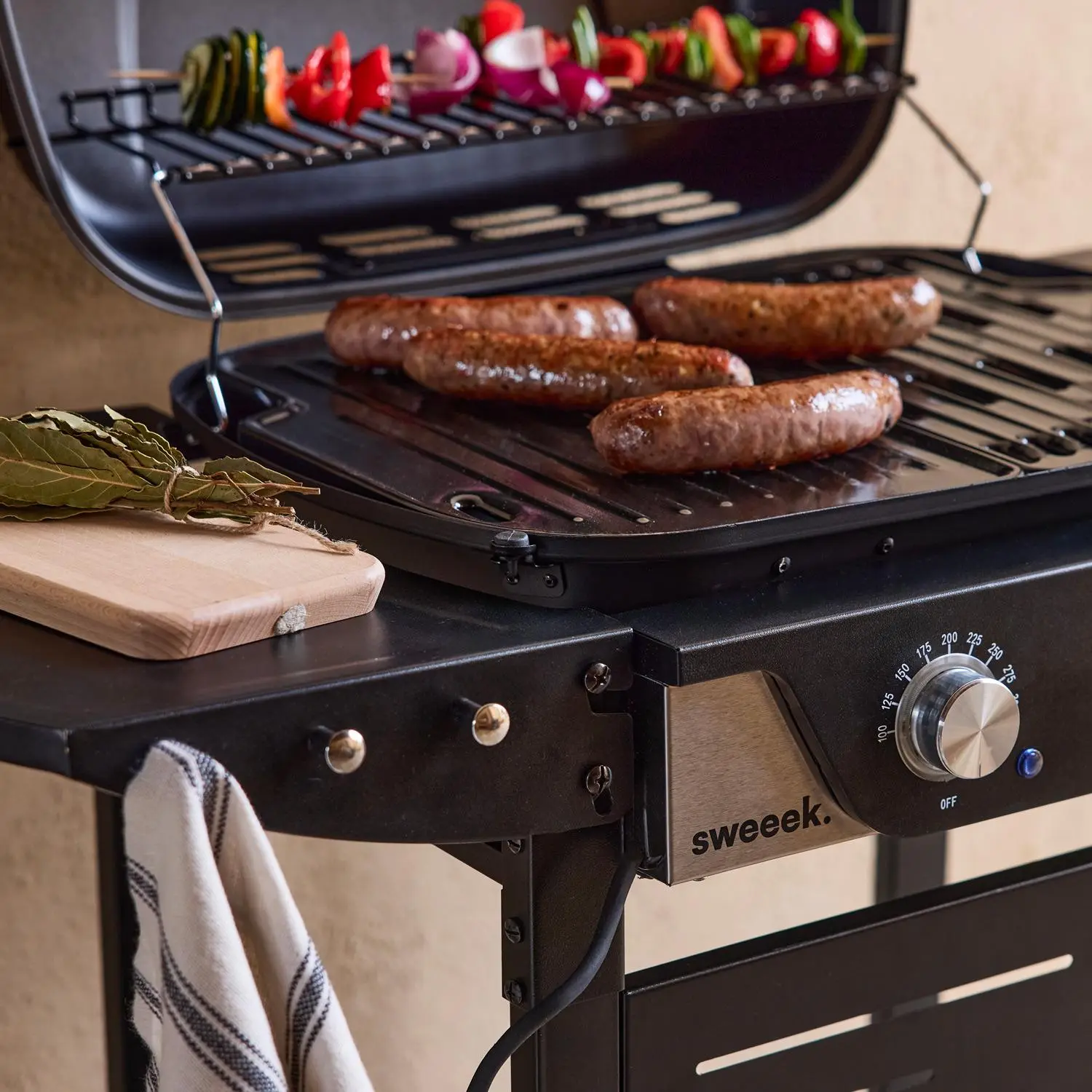 Barbecue électrique acier émaillé 2 brûleurs 2300 W