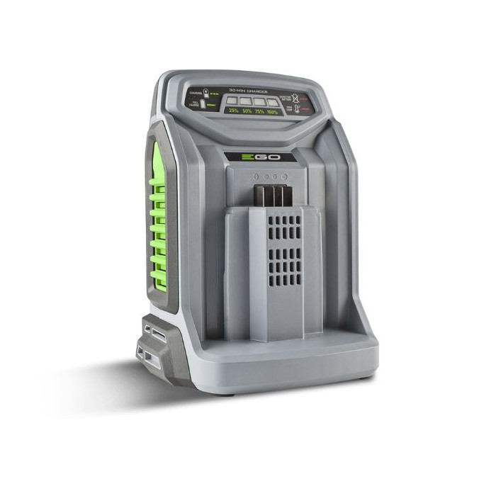 Chargeur rapide EGO Power CH5500E, Puissance : 550W
