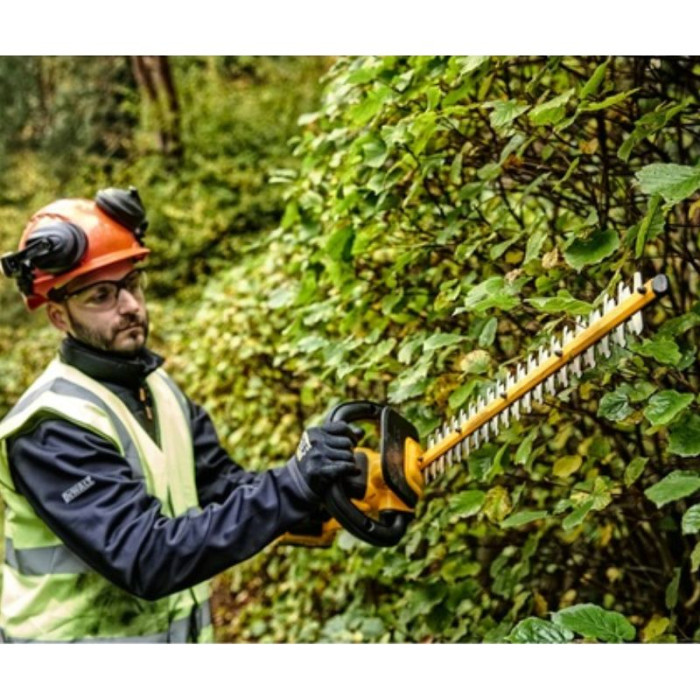 Taille haie sur perche à batterie 55 cm Dewalt XR 18V | Pack de démarrage chargeur + batteries