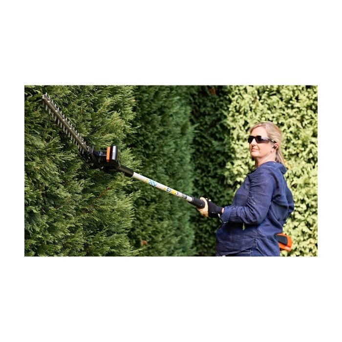 Taille-haie sur perche à batterie Echo DCHCA310, coupe 49cm
