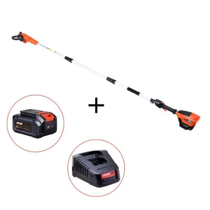 Pack perche élagueuse à batterie Echo DPPF310, batterie et chargeur - coupe 25 cm