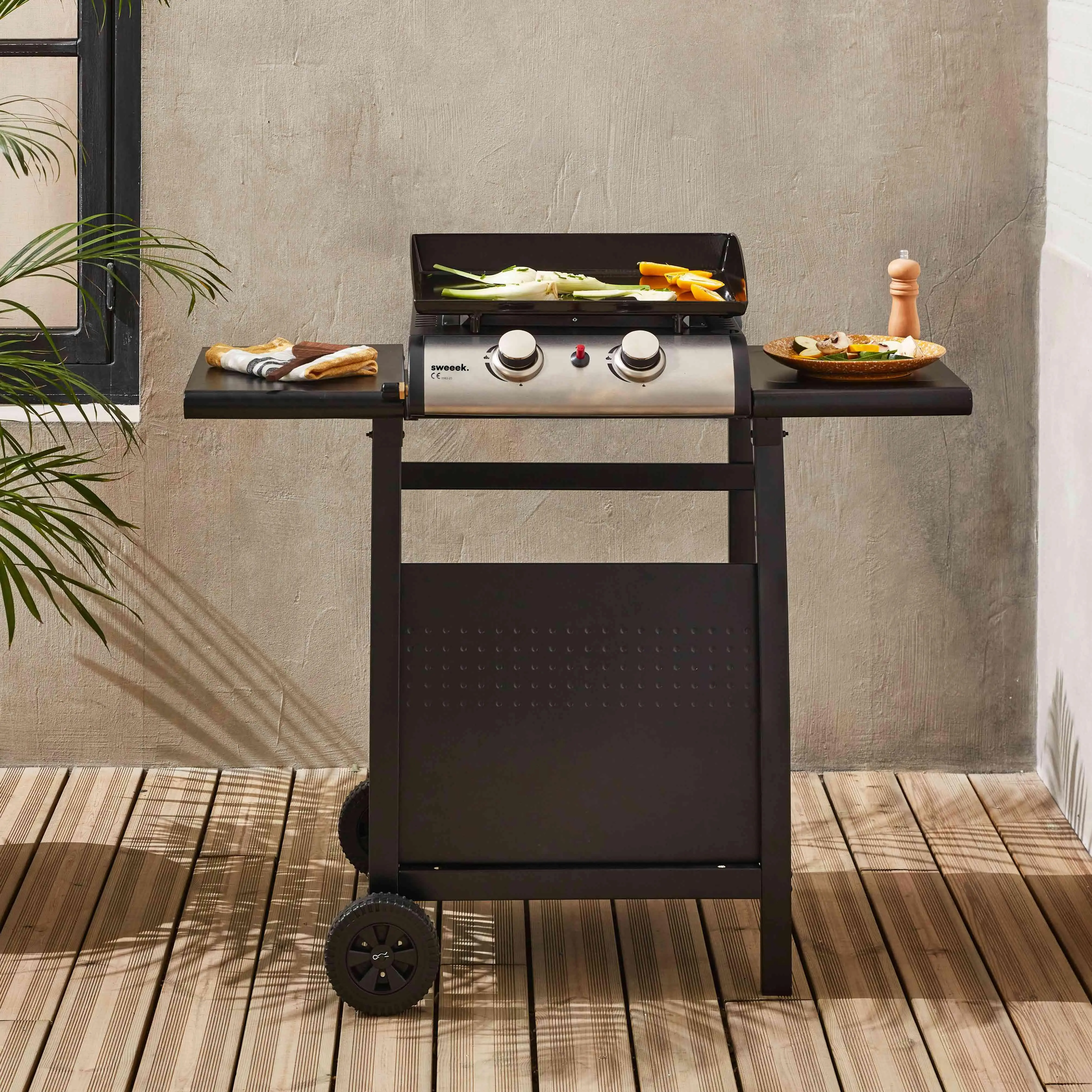 Plancha gaz 2 brûleurs inox 5kW avec chariot