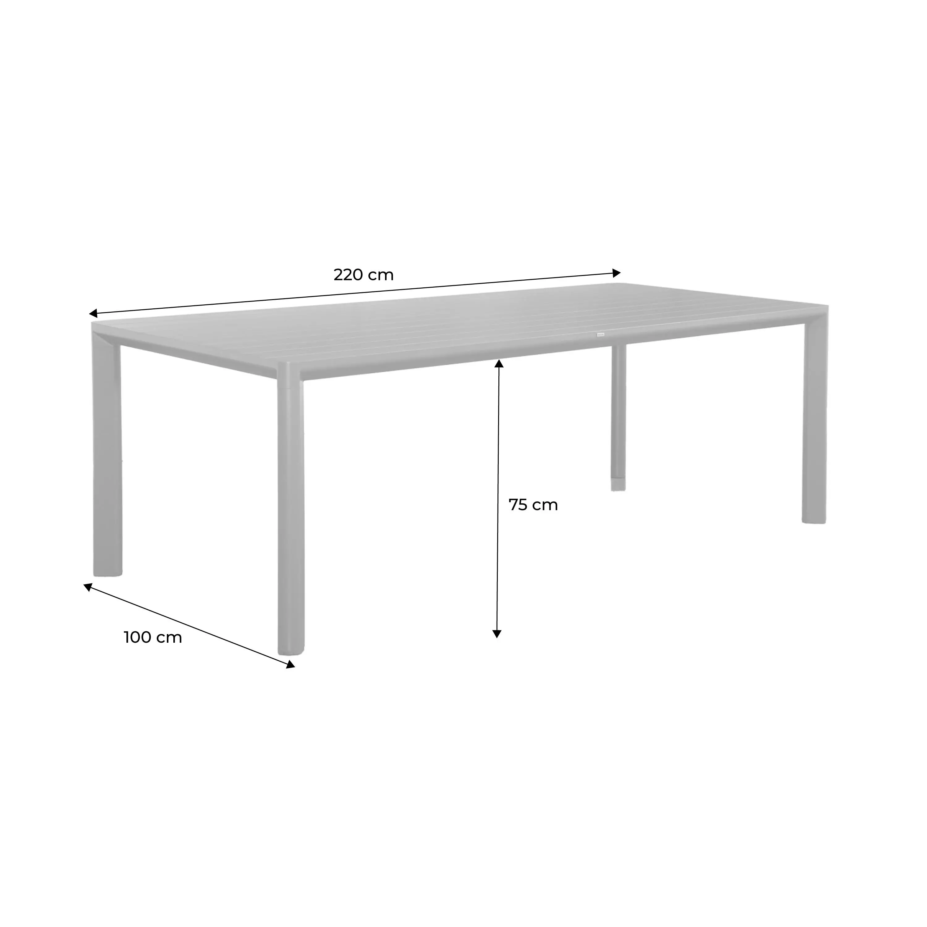 Table de jardin aluminium 8 places