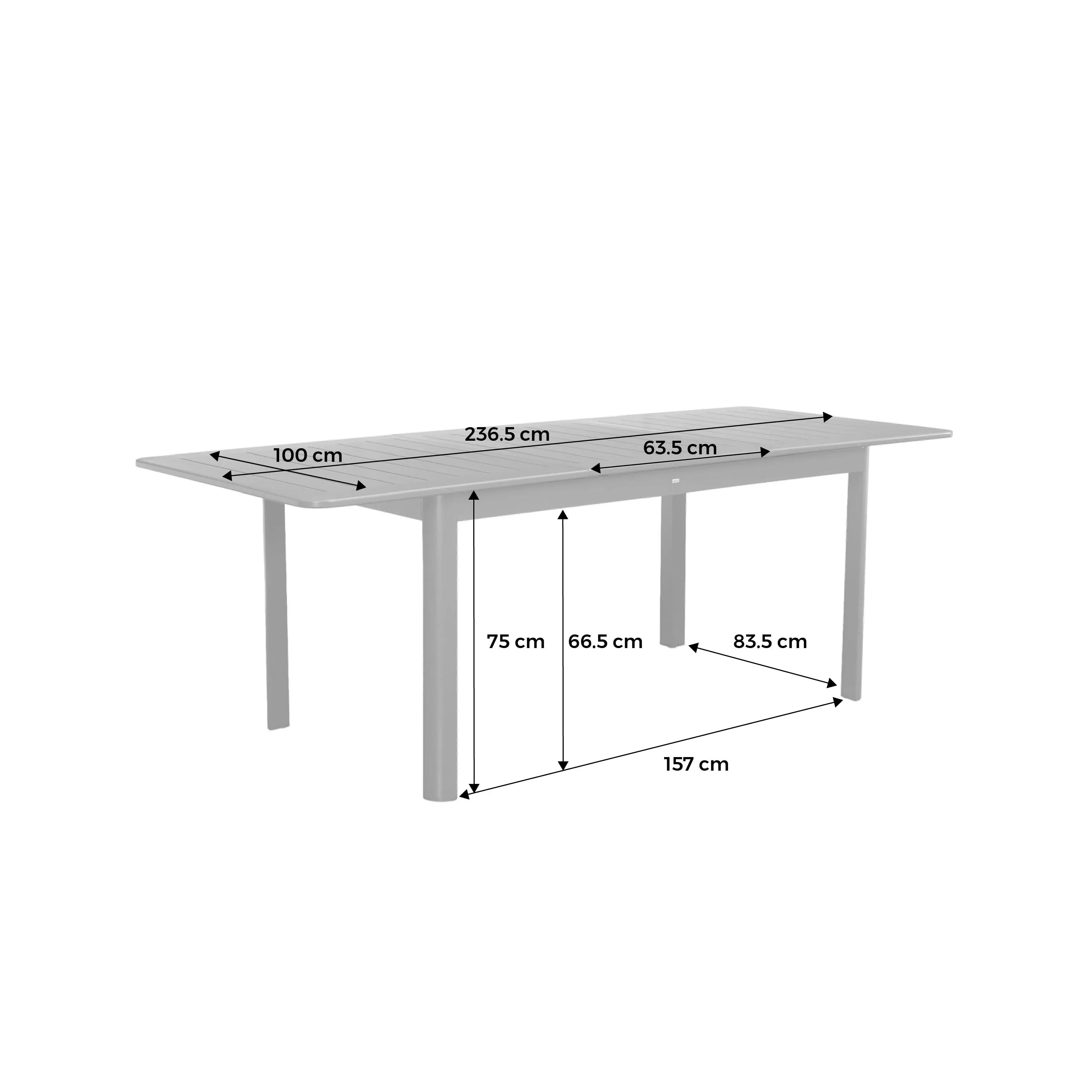 Table de jardin extensible aluminium 8 places