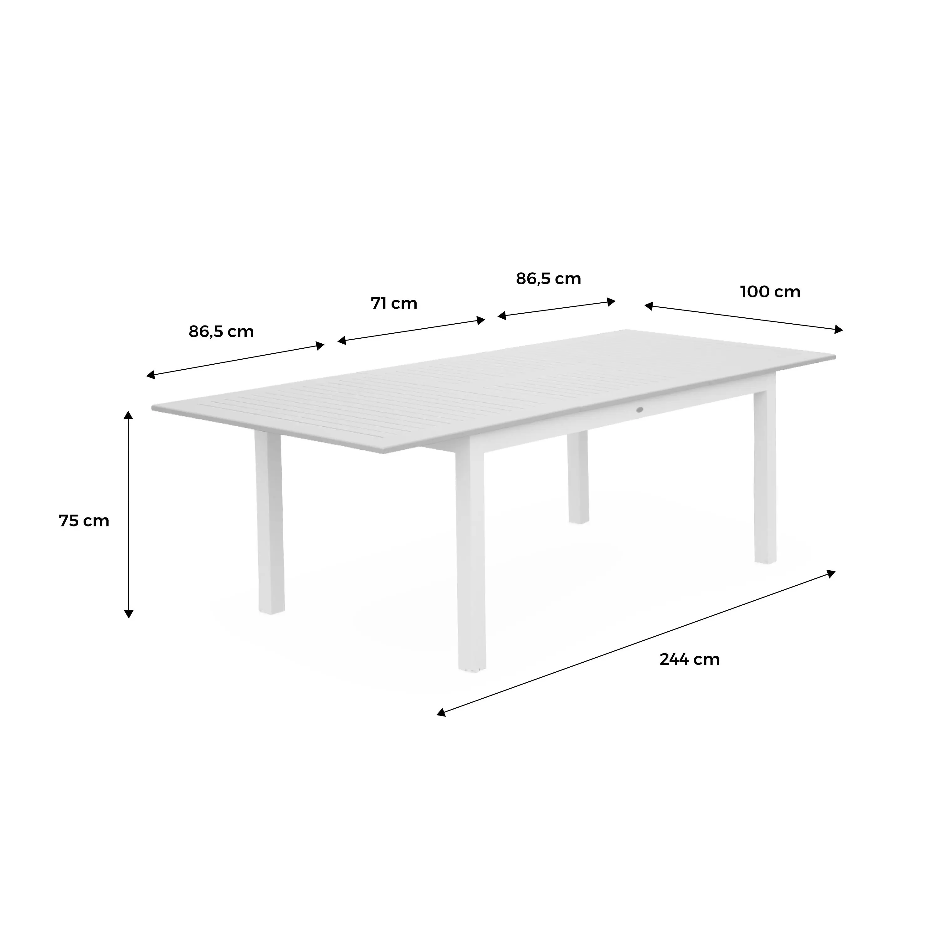 Table de jardin extensible aluminium 8 places